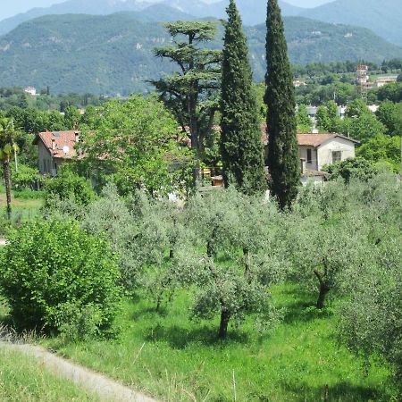 Agriturismo Bonu Gabriele Salo Exterior photo
